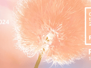 Pantone: farba roka 2024 Pantone farba roka 2024